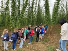 Hopfenerlebnis_1 Hopfenerlebnis_1