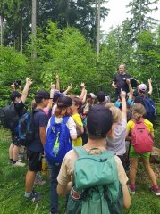 Waldjugendspiele im Frauenhäusl